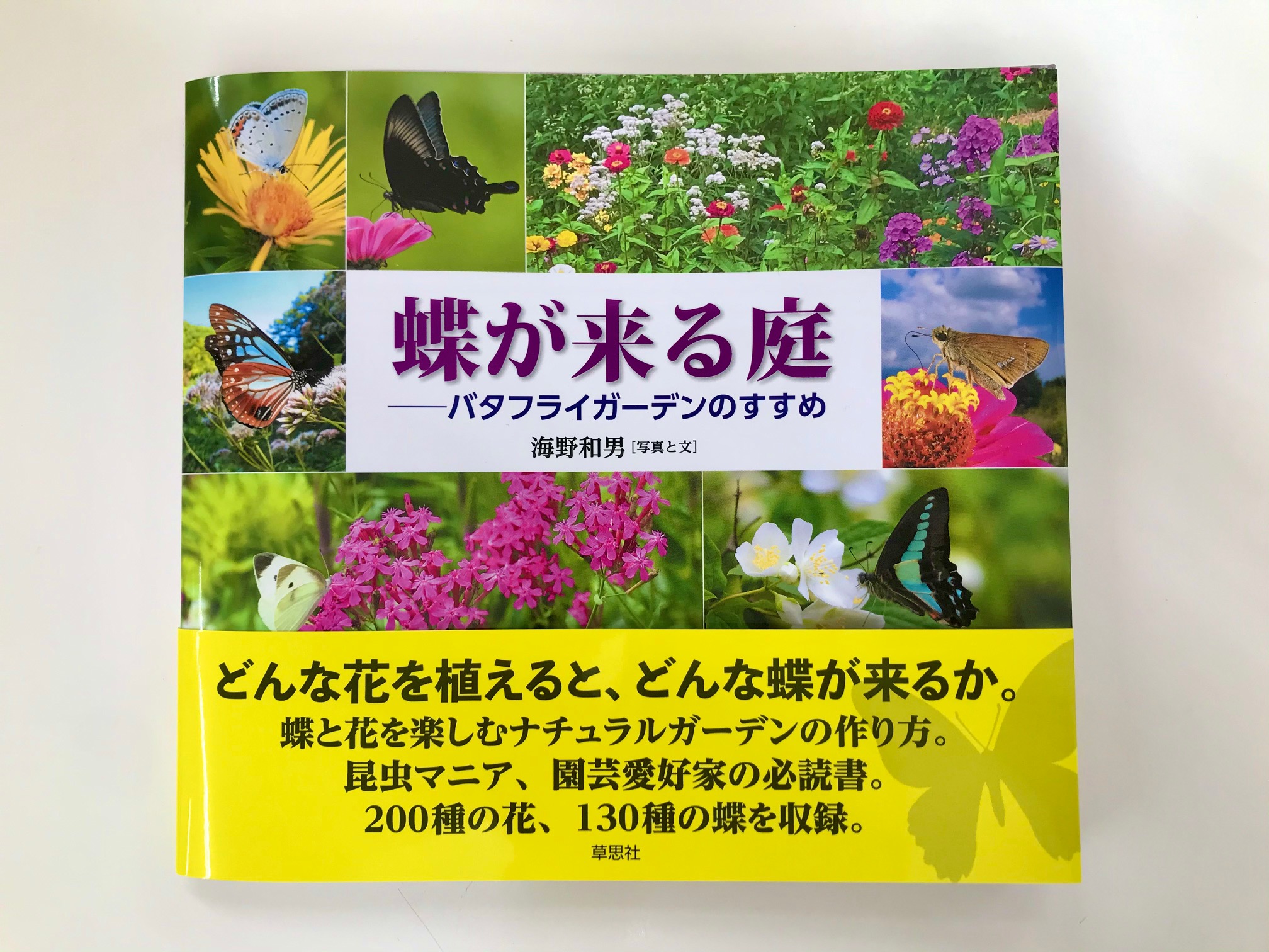 ট ইট র 今井書店ふじみ店 庭に蝶を呼ぶ バタフライガーデン の作り方を昆虫写真家 海野和男さんが伝授 蝶 が来る庭ーバタフライガーデンのすすめ は長野県小諸市にバタフライガーデンを作った著者の経験をもとに 花の種類ごとにどんな蝶が集まるか解説