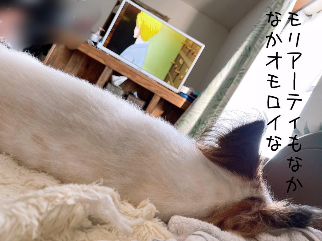 高鍋自動車学校 Cartorukun Twitter 高鍋自動車学校 Cartorukun Twitter