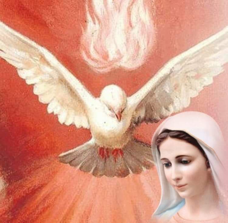 Medjugorje_ES's tweet image. Ven Espíritu Santo! 🕊🔥