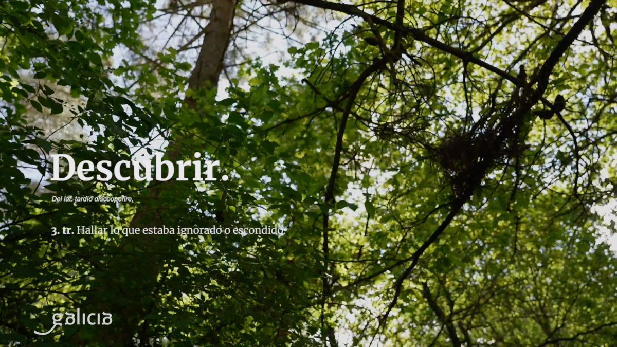 A veces es necesario perderse para encontrarse y contemplar nuevos horizontes. Los secretos del Camino han permanecido escondidos esperando tu llegada. Atrévete y descúbrelos 🍃✨

👉🏼👉🏼 bit.ly/3oO6rar

#DescubreTuCamino #Sentidiño #Xacobeo21_22