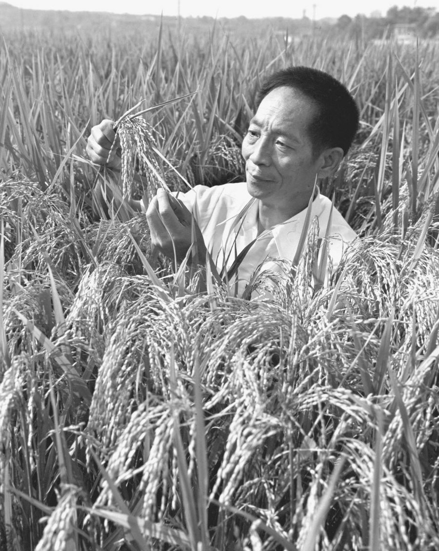 XHNews's tweet photo. UN praises "Father of Hybrid Rice" Yuan Longping as true food hero, who "saved millions of people from hunger by developing the first hybrid rice strains." "He passed away today at 91 but his legacy and his mission to end hunger lives on," @UNDESA tweets https://t.co/tSf4LR9Khm https://t.co/e9jkixQNz3