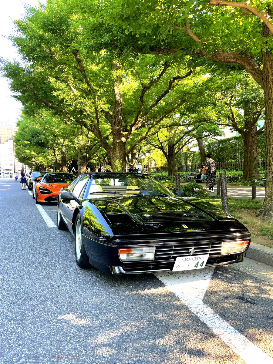 寄り道
#神宮外苑イチョウ並木 #ferrari #ferrari328