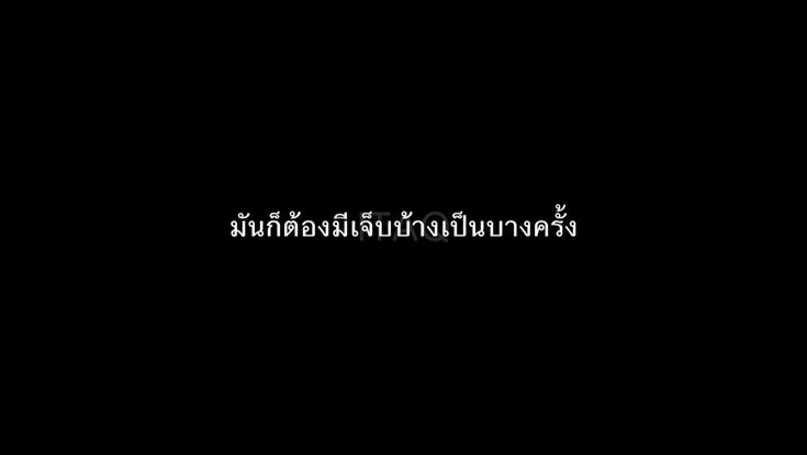 castor tweet media