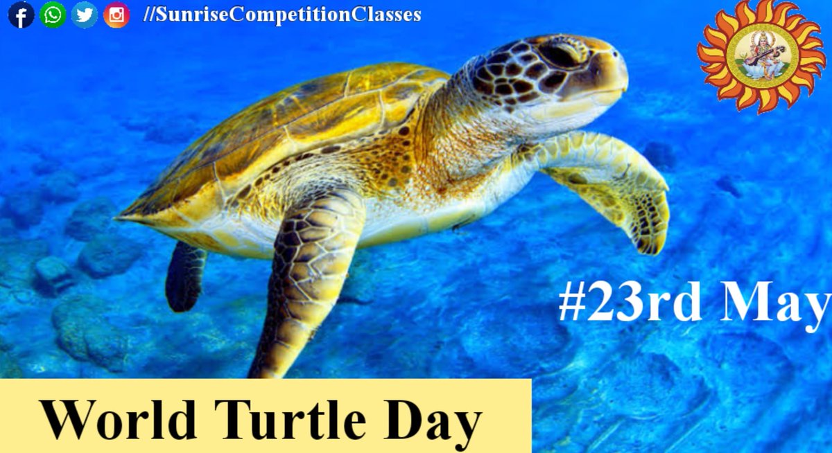 sunrise_classes's tweet photo. Must know these facts about Turtle 🐢✌️
Click on Link
👇
https://t.co/4kspjV4b3B https://t.co/DsYt1nCID8