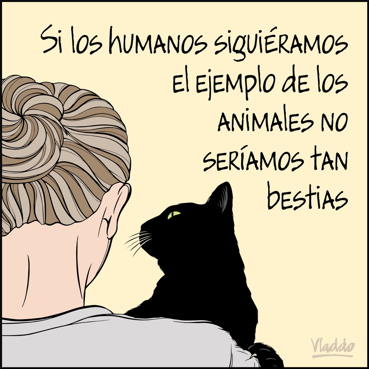 VLADDO tweet picture