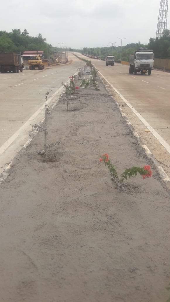 chavansuyu's tweet photo. #MumbaiGoaHighway #MH66 नजीक #ONI #Rajapur येथे विकासकाने झाडांच्या मुद्यात सिमेंट टाकले आहे.झाड जगण्यासाठी लावली आहेत की मारण्यासाठी..? @SardesaiVarun @MLARajanSalvi @meudaysamant @AUThackeray
@CMOMaharashtra @nitin_gadkari @NHAI_Official #naturelover https://t.co/kDeKGSTLe5
