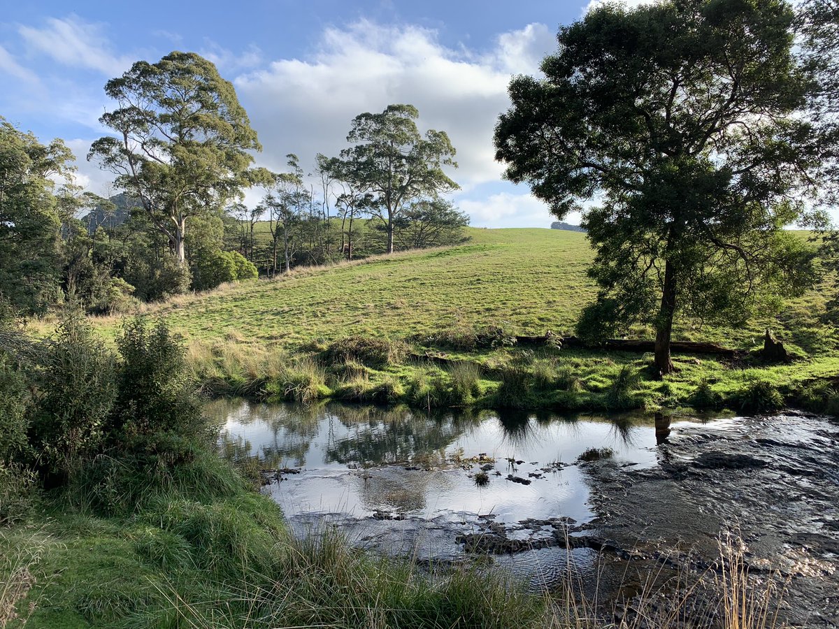 MonteBovill's tweet photo. Some more north-west Tassie sights from today 👀 #nwtas #discovertasmania https://t.co/m8pUzm1fvn