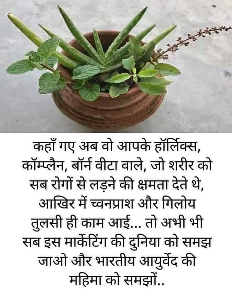 talkmanoj's tweet photo. #Ensure, #Bornvita, #Complan, #Glucon-D, #Horlicks, #Boost से #Energy लेने वालों को संकट के समय में, आयुर्वेदिक पद्घति से बने चवनप्राश ही काम आए!
कृपया आयुर्वेद अपनाएँ!
#Giloy
#Tulsi #Aloevera #Aawla #Ashwagandha #Gudduchi #BlackPepper #Cardomom #Glucose https://t.co/UgmmHYZhuQ https://t.co/g3ealdSqBm