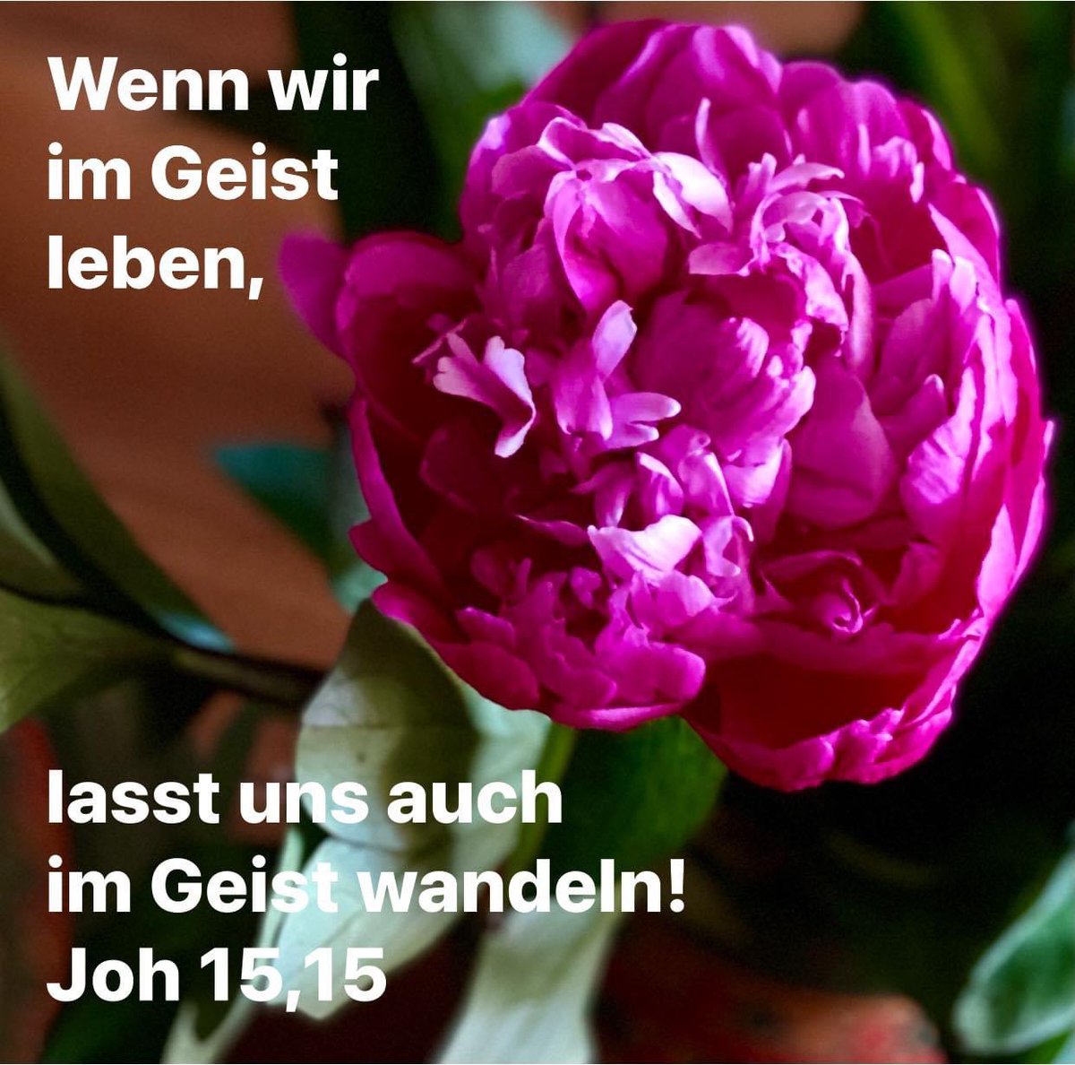 Ein frohes Pfingstfest!