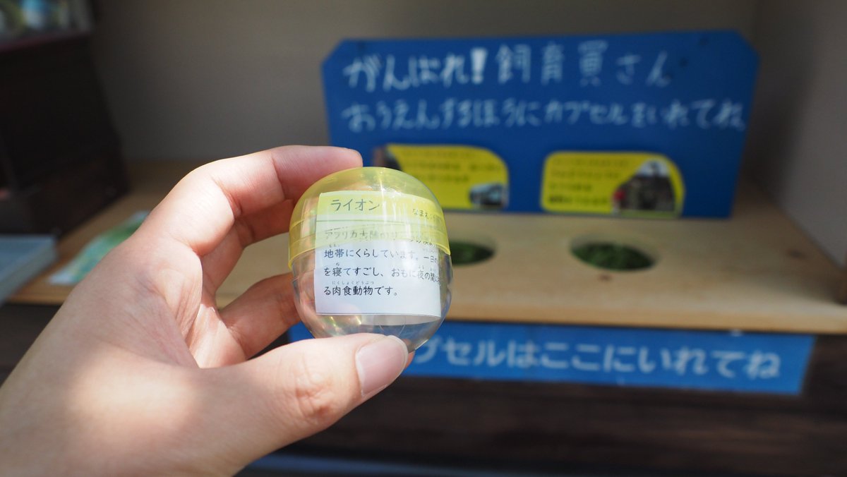 nanashi_adelie's tweet photo. 園の各所に僕が所望していた動物缶バッチガチャが配置されているので、ぜひ休園明けしたら100円玉袋に詰めて皆様にガチャりに行っていただきたい。
#到津の森公園 https://t.co/Z2sggHx844