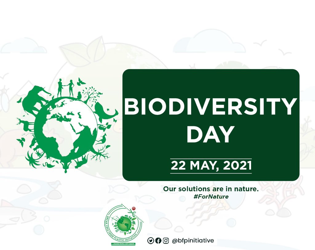 bfpinitiative's tweet photo. Moreover, similar exercise was conducted in Samaru, Market Zaria  with amazing community recycling champions creating awareness and recovering PET bottles with support from @CSDevNet1 and @ABUPloggas. 

#GreenSallahCleanup
#MissionZeroPlastic
#AreaixTCCF
#BFP_Initiative https://t.co/S1F1Kgm38X