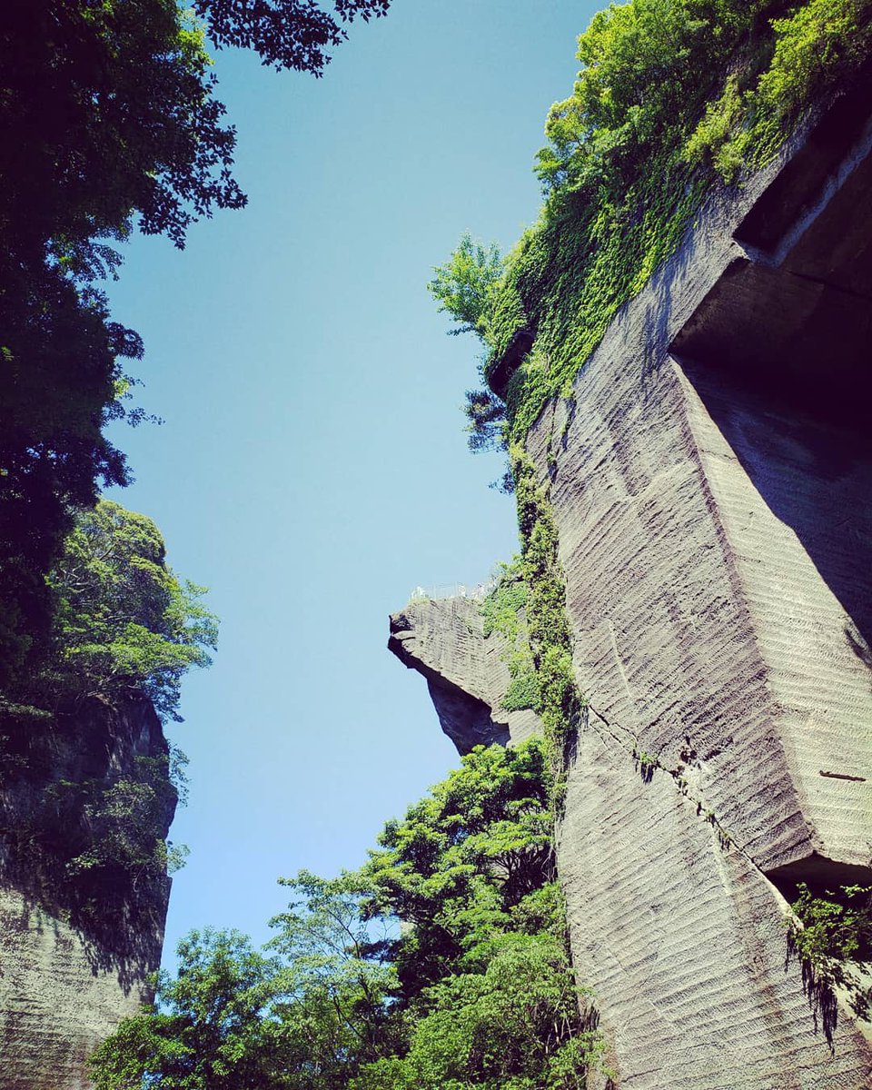 aoao0917's tweet photo. 平和だ🗻

#鋸山 
＃のんびり
#休日 https://t.co/Y0MIaRDRpR