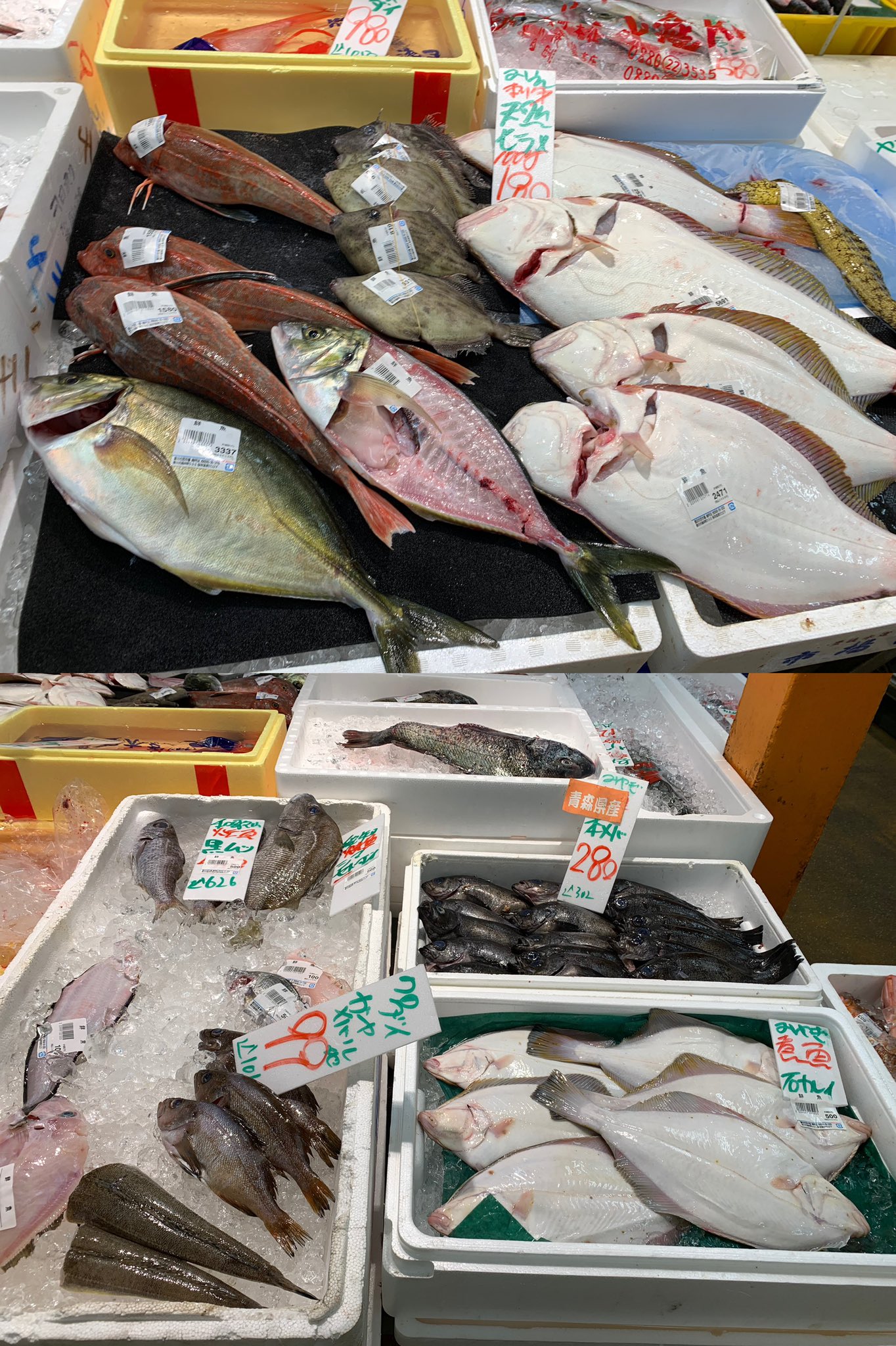 Acciちゃんねる 鞍ヶ池公園の帰りに買出し 豊田市民市場ピカイチ写真集 豊田市 T Co Azxmn4mc3k Twitter
