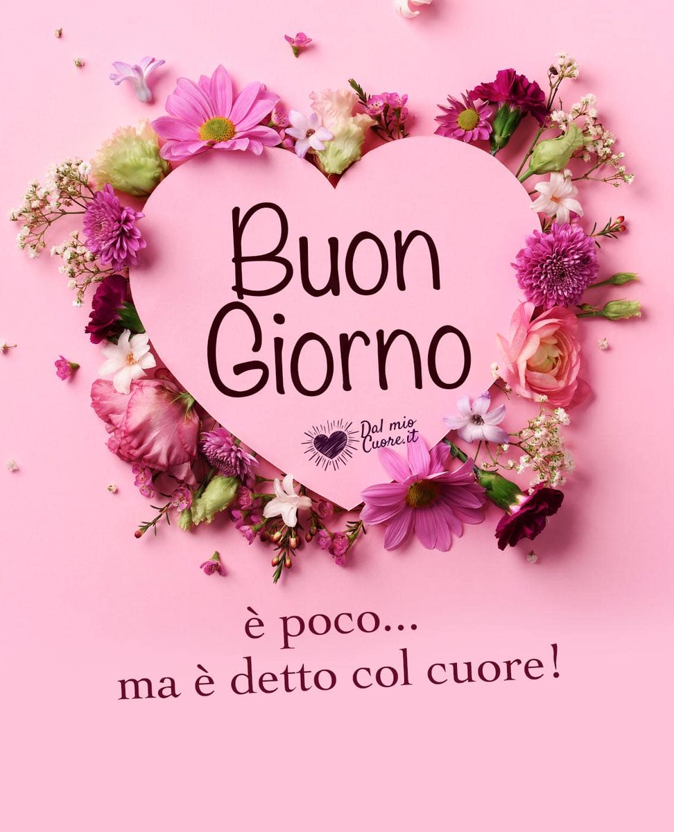 Rosaria (@rosaria28819372) on Twitter photo 