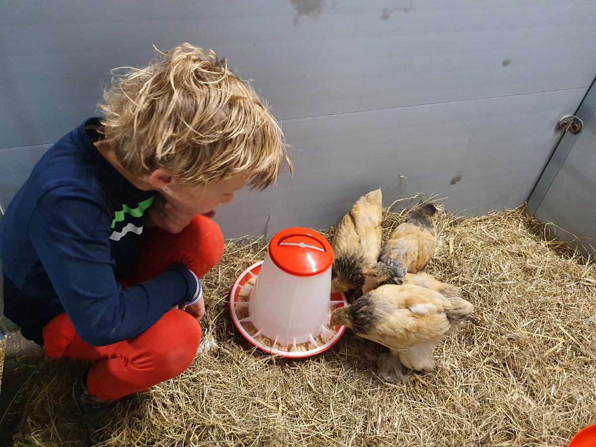 Geef mij een oude boerderij met wat kippen en een haan #boerderijkindjes #HappyBirthday