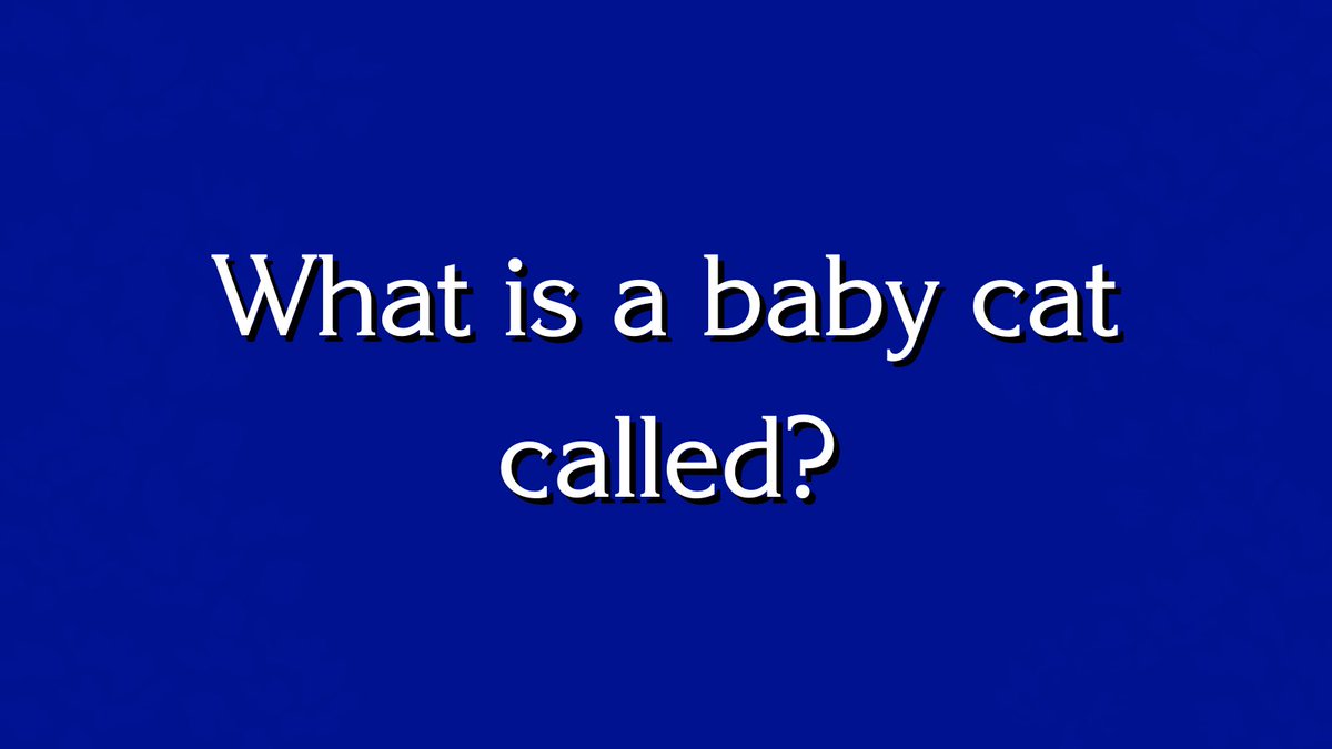 🕹Answer this question from the Bloxburg Jeopardy finale in the comments! 

𝐁𝐥𝐨𝐱𝐛𝐮𝐫𝐠 𝐉𝐞𝐨𝐩𝐚𝐫𝐝𝐲 𝐅𝐢𝐧𝐚𝐥𝐞 𝐨𝐮𝐭 𝐬𝐨𝐨𝐧!