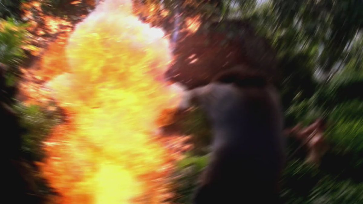 lostsupporting's tweet image. 