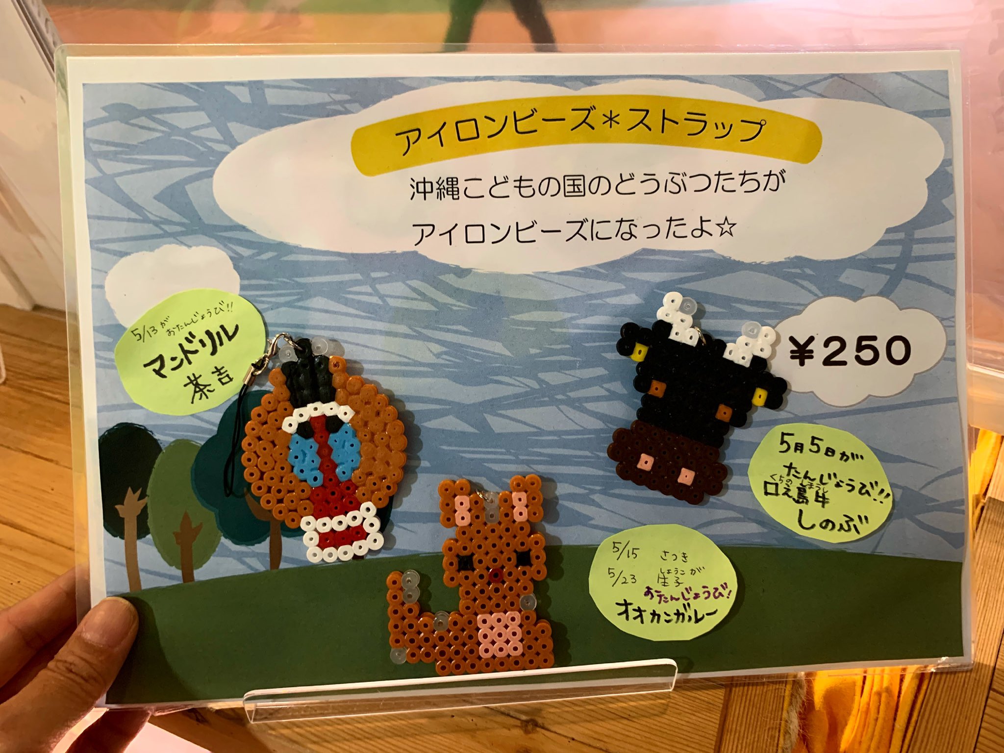 Twitter এ 公式 パーラービーズ ナノビーズ アイロンビーズ沼 Rt Okinawazoo 5月生まれの動物たち アイロンビーズ の工作を楽しみながらこんなかわいいストラップが作れます 5月末まで ワンダーミュージアム T Co 8ffoimsfoc ট ইট র