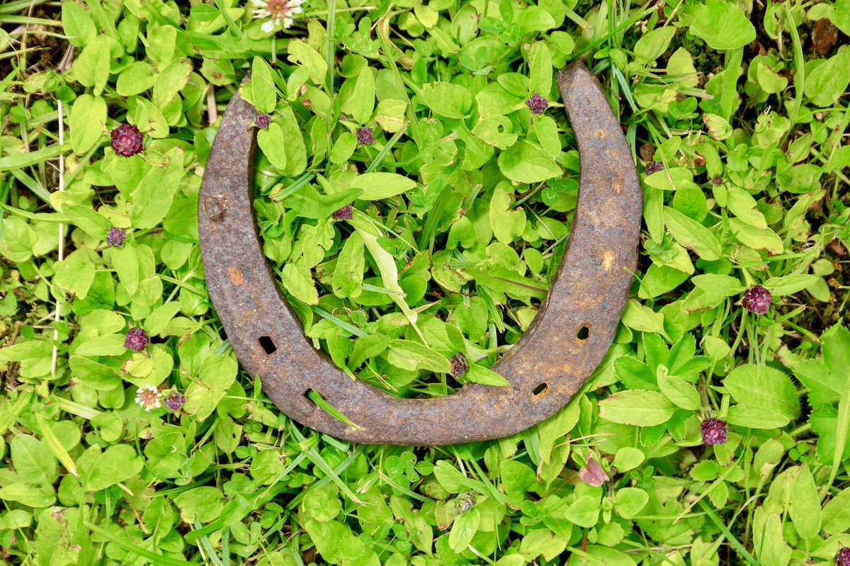 A_AMilne's tweet image. "If you believe that a horseshoe will bring you good luck then it probably will. For if you believe you are going to be lucky, you go about your business with a smile, take disaster with a smile, start afresh with a smile. To do that is to be in the way of happiness." ~A.A.Milne