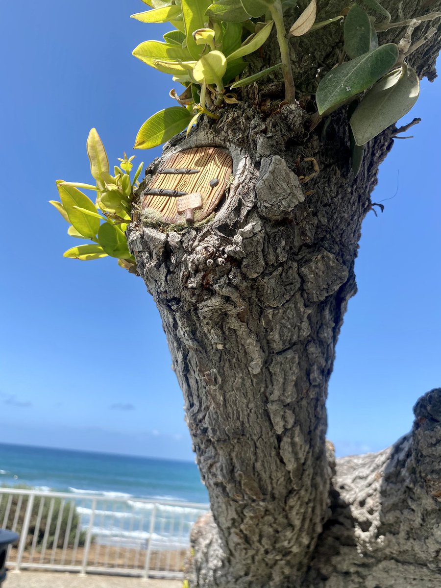 AmyKate8LFC's tweet photo. Great day with #OLSCCarlsbad today!  We completed the #RunForThe96🔥5K along the coastline of Carlsbad. We found the cutest little fairy doors along the way. #SoCalKopites #theredway #YNWA #lfcfamily #LFC #welivefootball #livergirls #weareliverpool #thismeansmore https://t.co/p9MDj596DV