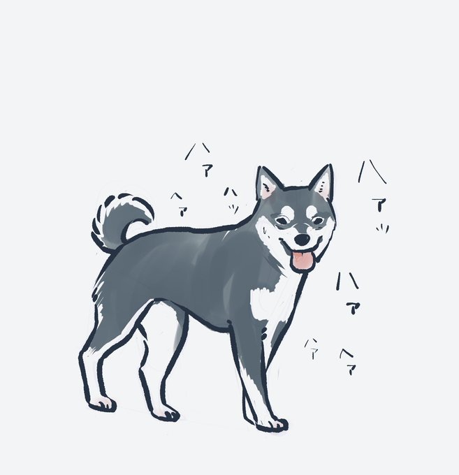 黒柴のtwitterイラスト検索結果 黒柴のtwitterイラスト検索結果