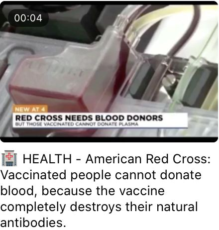 sergiodde's tweet photo. Croix-Rouge américaine : Les personnes vaccinées ne peuvent pas donner leur sang, car le vaccin détruit complètement leurs anticorps naturels. Donc, si tout le monde est vacciné comme c'est le plan, plus de don de sang et plus de transfusion sanguine pour sauver des vies... https://t.co/eAhFl8AdbO