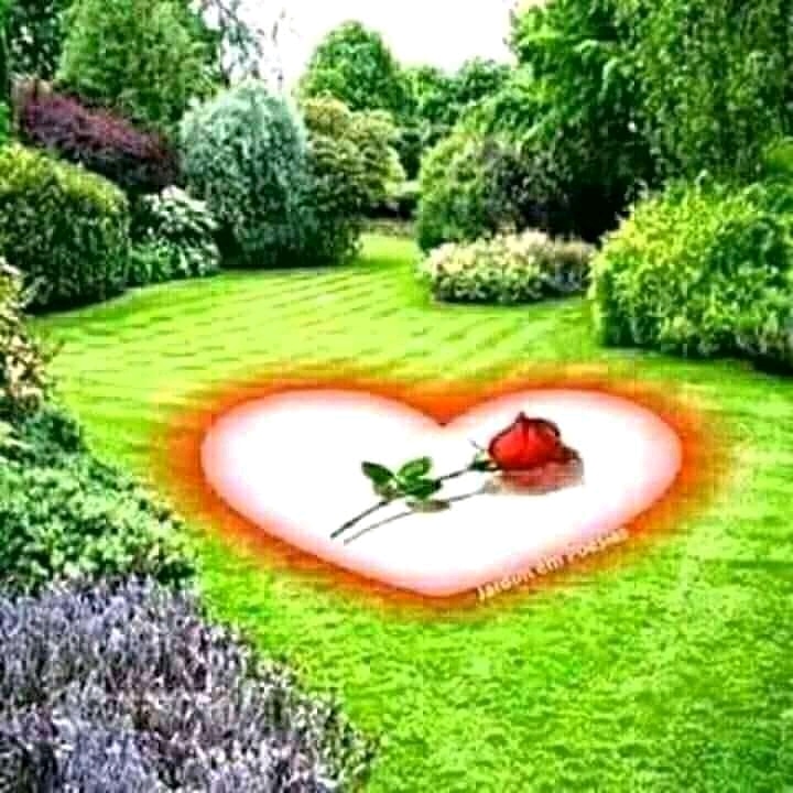 Frank (@frank88279479) on Twitter photo 