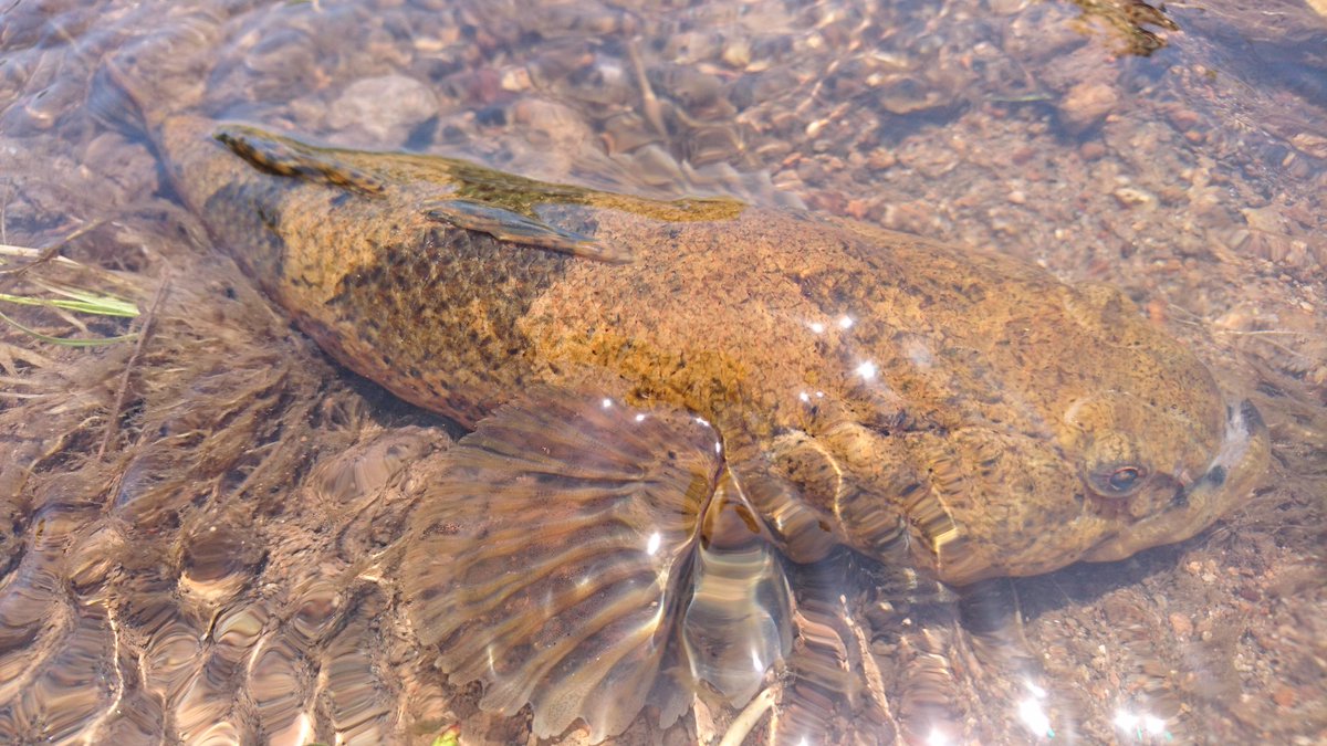 杜若 3grvdfhrbfigl2l Twitter