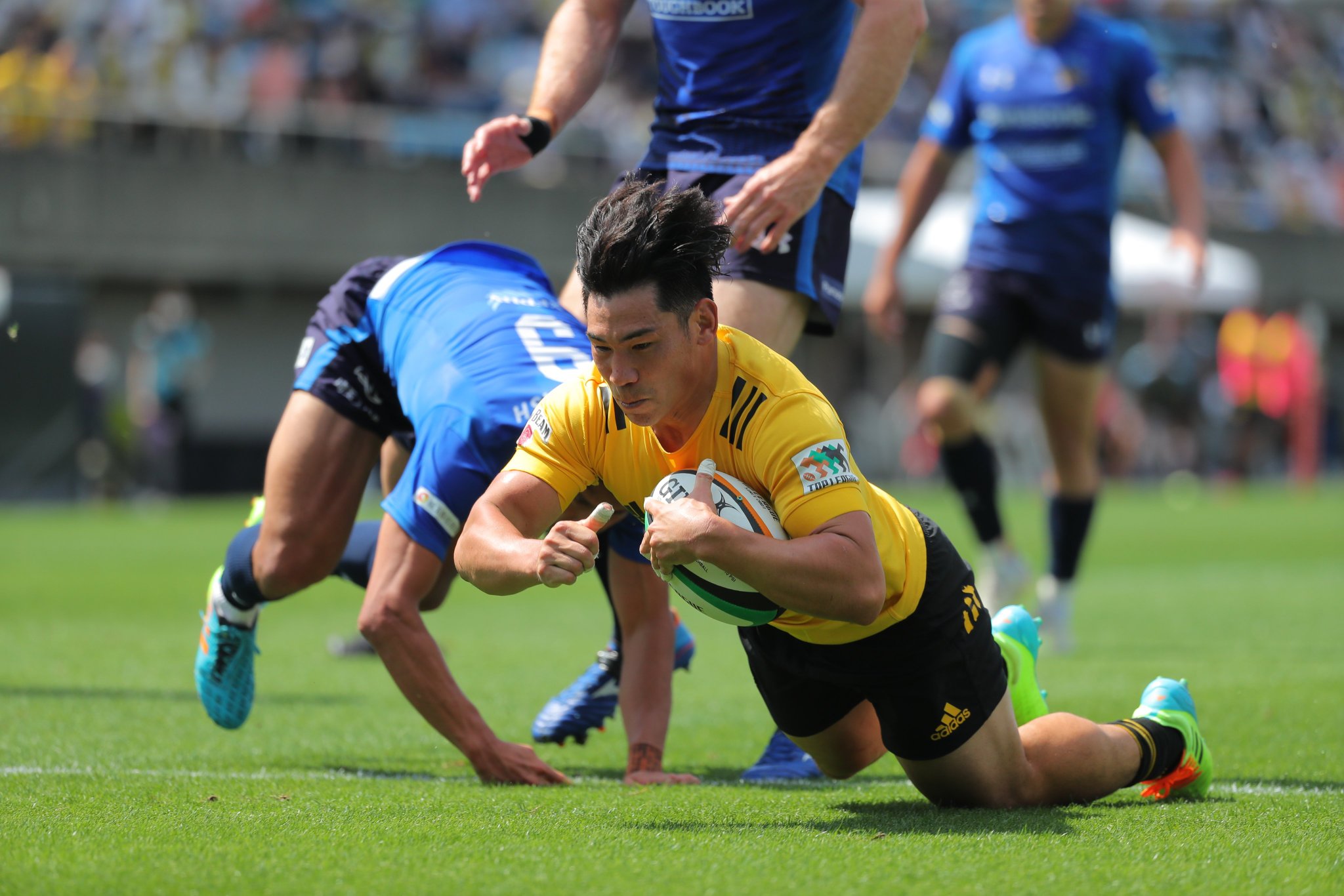 Japan Rugby on Twitter "Panasonic Wild Knights ⚔️ take home the trophy! 🏆 After an absolute