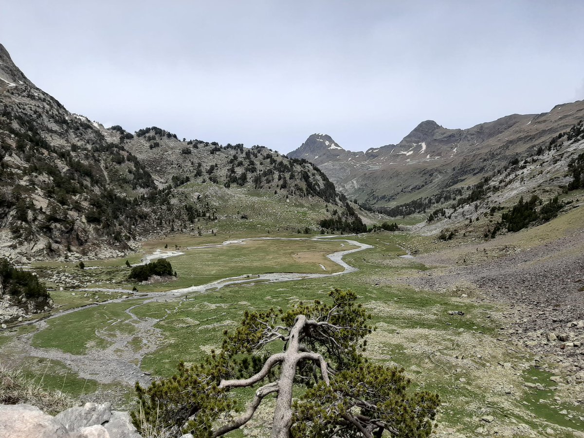 romacabanas's tweet photo. Vista del Plan de Aigualluts desde el camino de subida al Col de Toro. Que ganas había de volver a pisar Pirineo!! #Benasque https://t.co/HwchA1bHc4