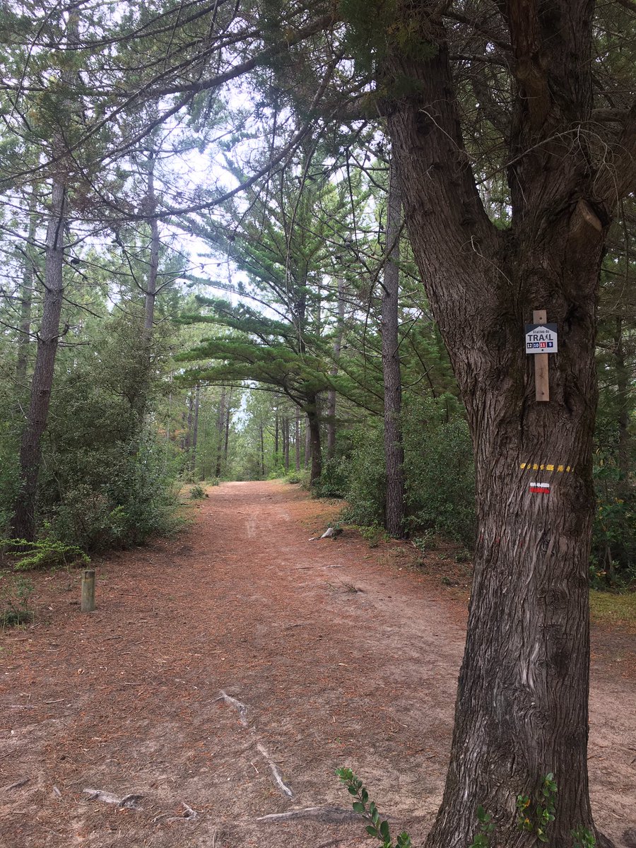 LePogamGuillaum's tweet photo. Bonjour à tous !
#CapOuest 
@DepVendee 
Dernier parcours avant de rejoindre les terres 🏃‍♂️☀️🌊🏖 🌲 😓 https://t.co/nRHQni0wXV