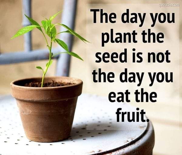 ShauntelleCarty's tweet photo. #ThoughtForToday
#Patience
#Process

Have patience and continue to trust the process. You will reap if you faint not, so hang on in there, it will work out for your good.

Well, that's what I believe!
Do you believe so too? https://t.co/Aemato6qpo