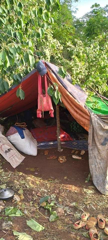 nslwin's tweet photo. As Terrorists (Myanmar security forces) have been continuously firing artillery and mortar in several towns in Karenni (Kayah) State, people had to flee and taking refuge in the forest.

#May23Coup #WhatsHappeningInMyanmar #MilkTeaAlliance https://t.co/VKHMwU0xXr