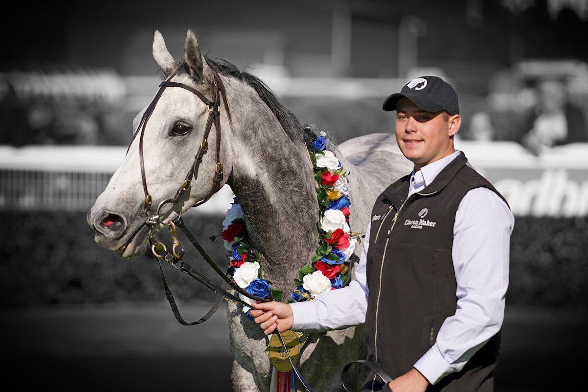 The stunning SAUNTER BOY wins the Australian hurdle by 10 lengths 💪

<a href="/cmaherracing/">Ciaron Maher Racing</a> <a href="/PatemanRacing/">Steven Pateman</a> 👏

📸 <a href="/Racing__Photos/">Racing Photos</a> 

Winners page 👇👇👇
australianbloodstock.com.au/saunter-boy-ma…