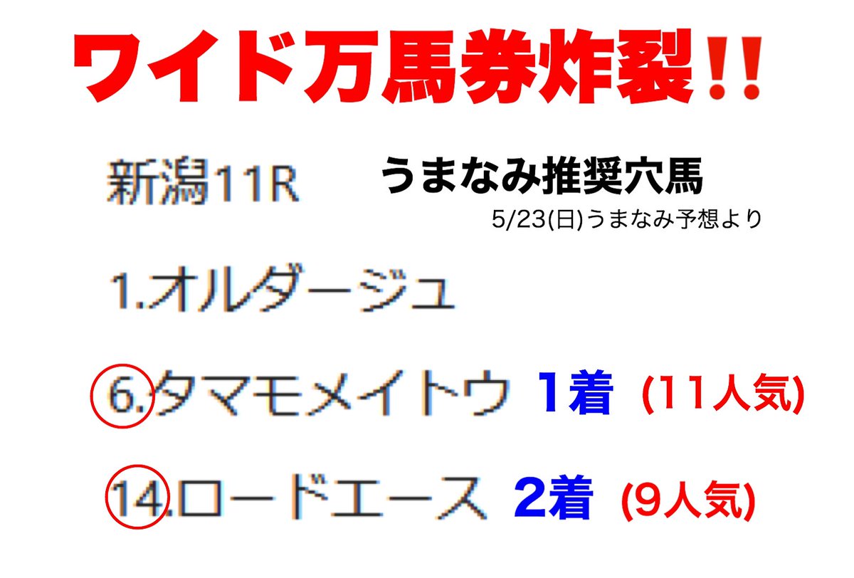 う まなみ 競馬 ニュース