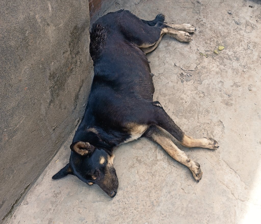 Defender_xt's tweet photo. My friend after 2 times a day ✊💦🥴 https://t.co/P1Bk0FPTGa