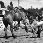 Photo by Cloverdale Rodeo (@CloverdaleRodeo)