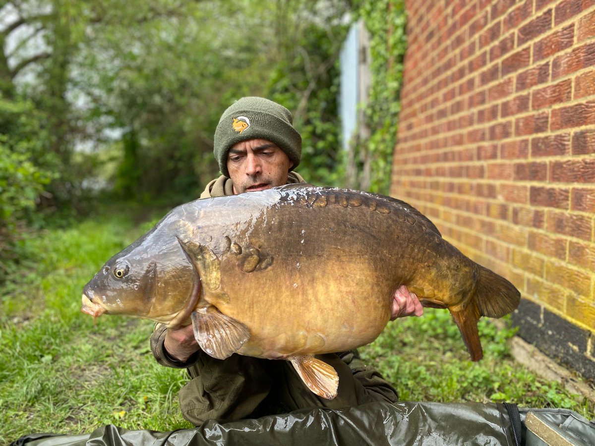 koi152's tweet photo. What a weekend 2 fish caught a 36lb and a 40lb 10oz from @RodneySyndicate caught on a TS1 @SolarCarp https://t.co/a5N70BXUdf