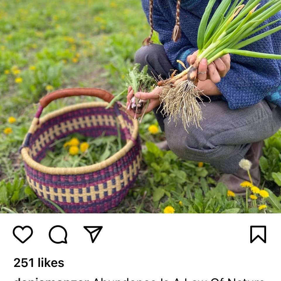 Jane 'Hedgecomber' Sarchet tweet media