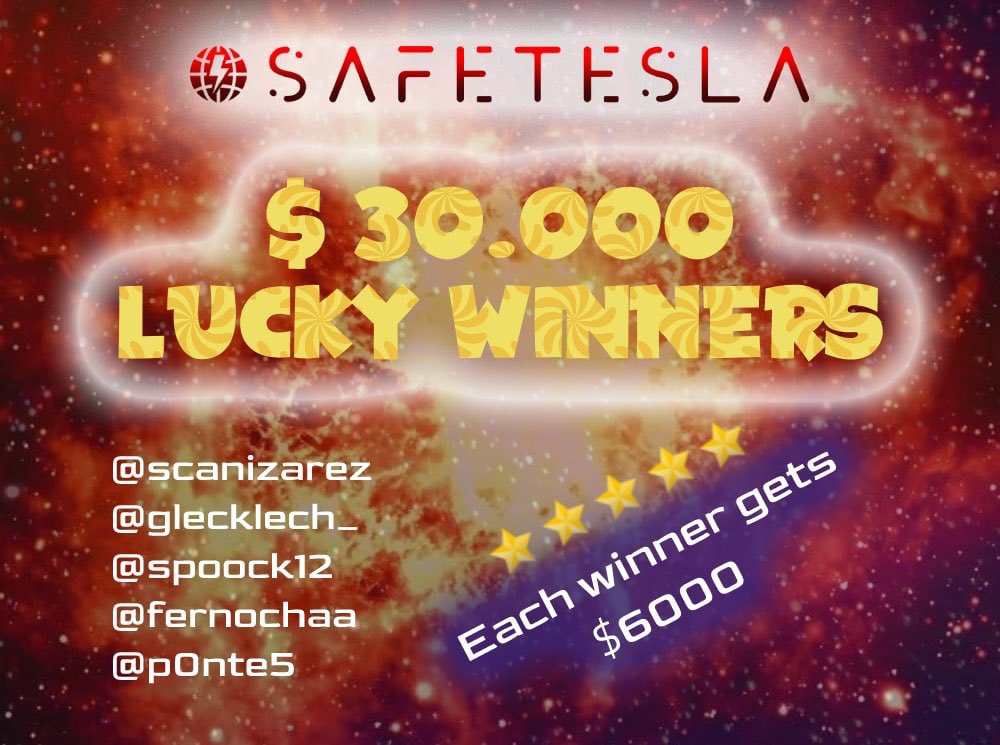 SafeTesla tweet media