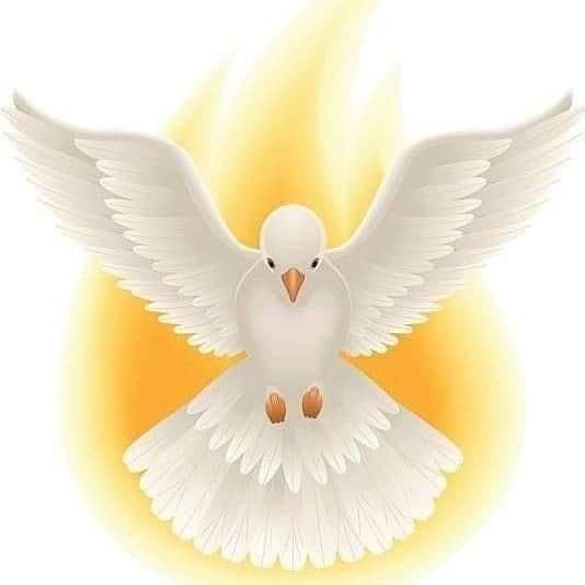 ZonePresse_'s tweet image. Bonne fête de la Pentecôte à tous