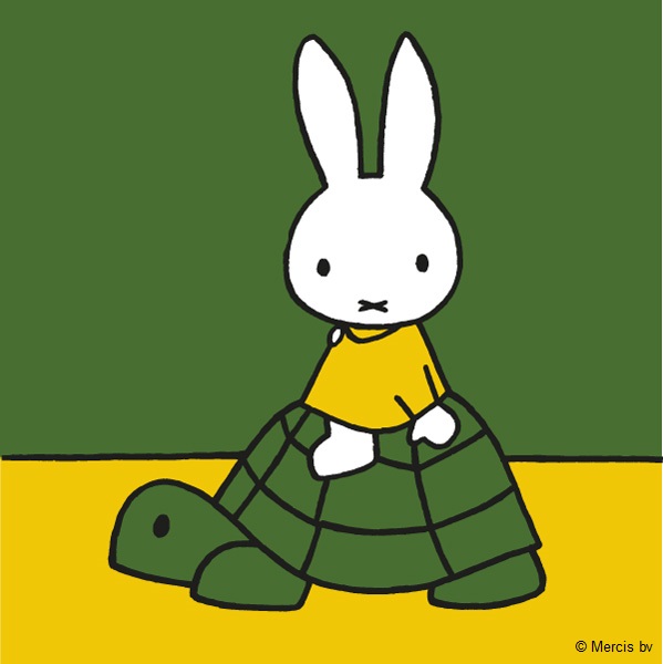 Careful up there, Miffy! 🐢

#TurtleDay