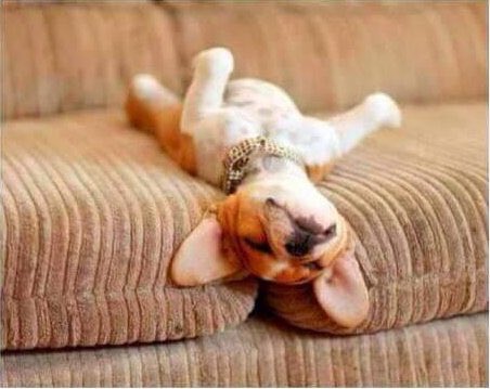 Trasto 🙈🙉🙊 tweet media