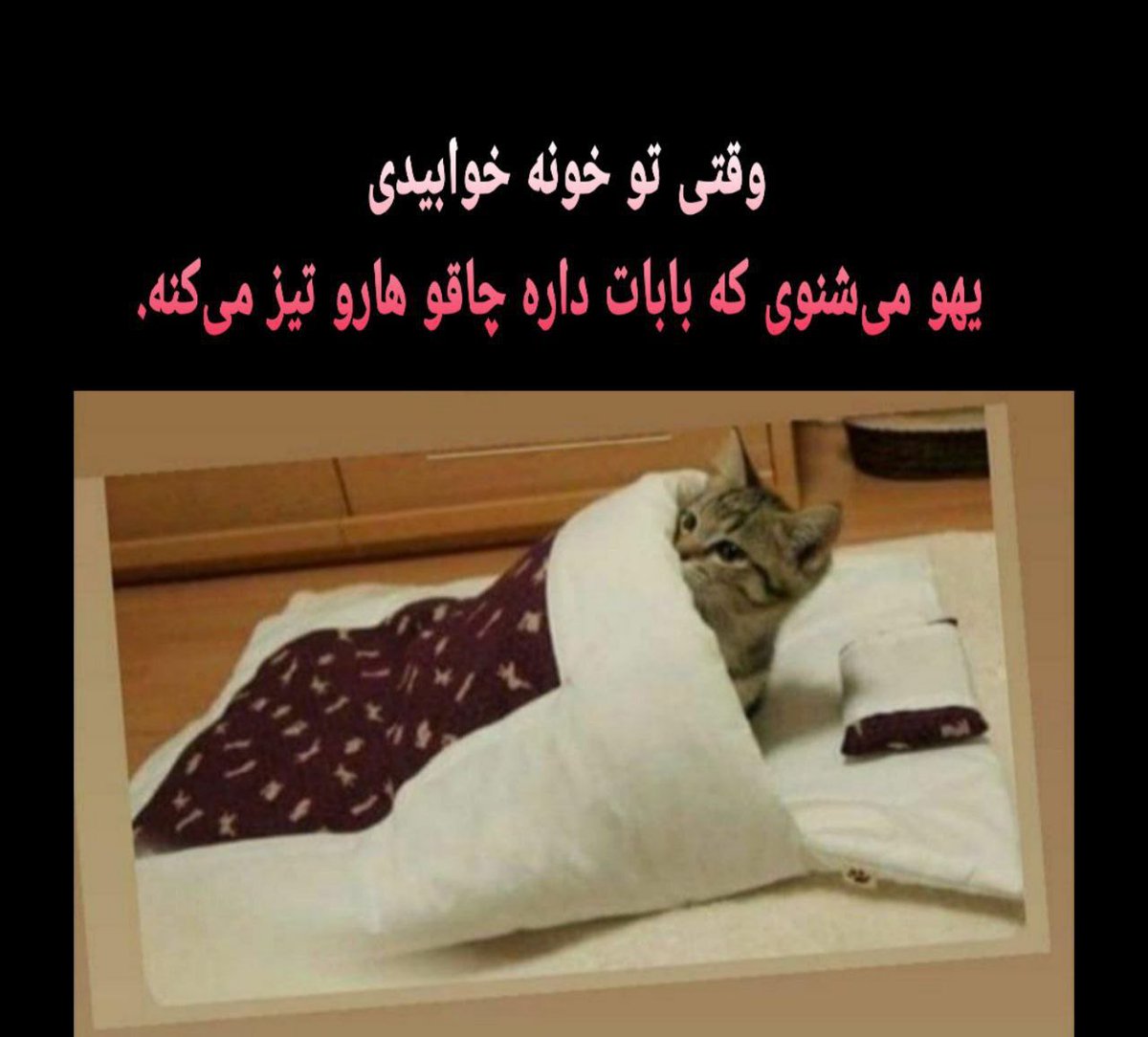 Student91969684's tweet photo. #چه_هشتگی_بزنم https://t.co/06iFmCgsk1