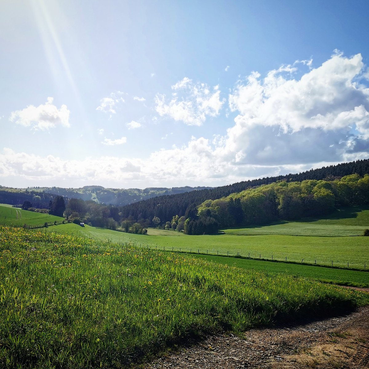 TanjaHanika's tweet photo. Habt alle einen schönen Sonntag! 🎉
Das Wetter ist hier mehr als unbeständig, aber jeder Sonnenstrahl wird genutzt. 😊🖤
#eifelexplorers #Eifelliebe #landscape https://t.co/tb4sWliMqX