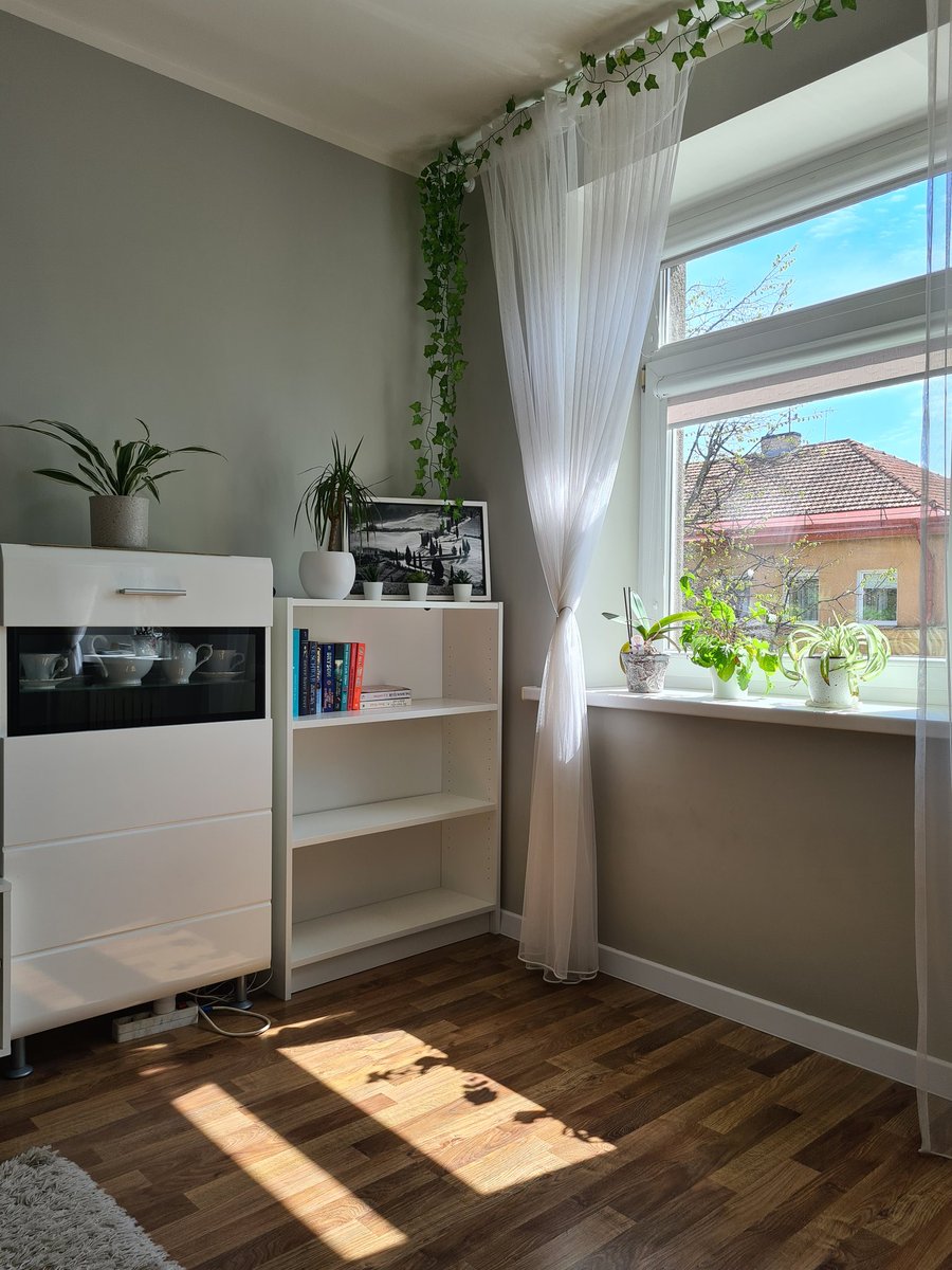 Image includes shelves, plants and white curtains.