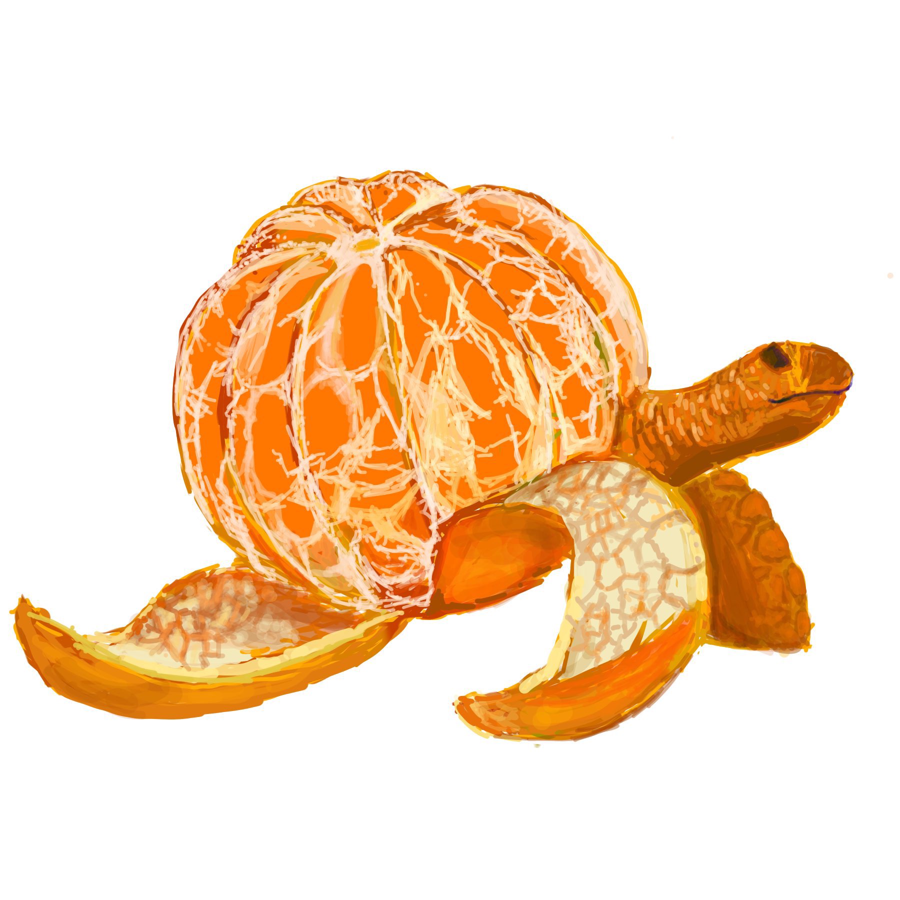 Twitter 上的 Dodotan かめさん 世界亀の日 世界カメの日 Worldturtleday イラスト T Co Ktmd59mfjv Twitter