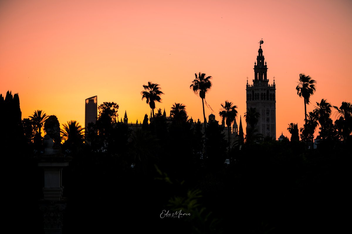 Cada foto se planifica: horario, tiempo, lugar exacto, herramientas y técnica. Aquí una prueba de ello, en primavera, atardeciendo, a 20m de altura desde los Jardines de Murillo, sin dron. 
Si os gusta, retuitead y seguid la cuenta, así seguiremos creando este tipo de imágenes.