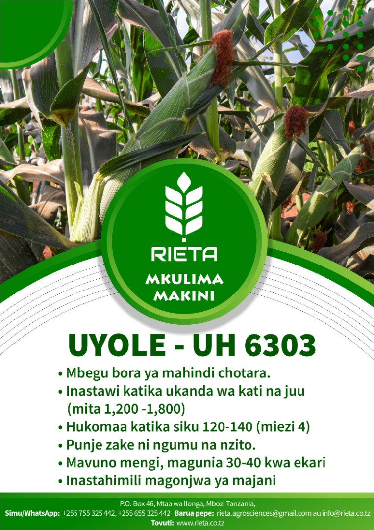 Jinsiy mashina qiynoqlar video Havaskor transvestit porno rasmlar