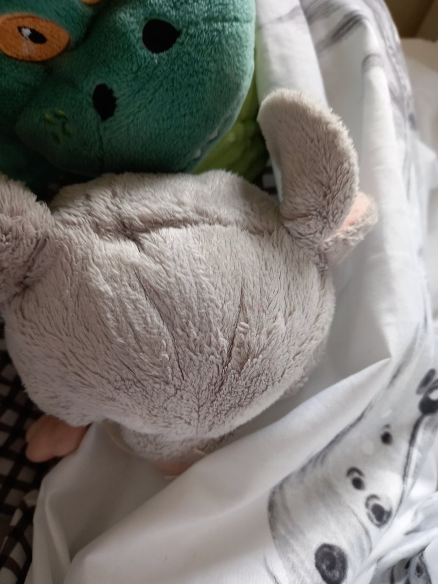 Ferdythemouse's tweet photo. 09:22 and I've just been picked up off the floor down the side of the bed, I'd been there for hours she didn't notice Edgar couldn't reach me. 🥺 https://t.co/RpE9GwHVUm